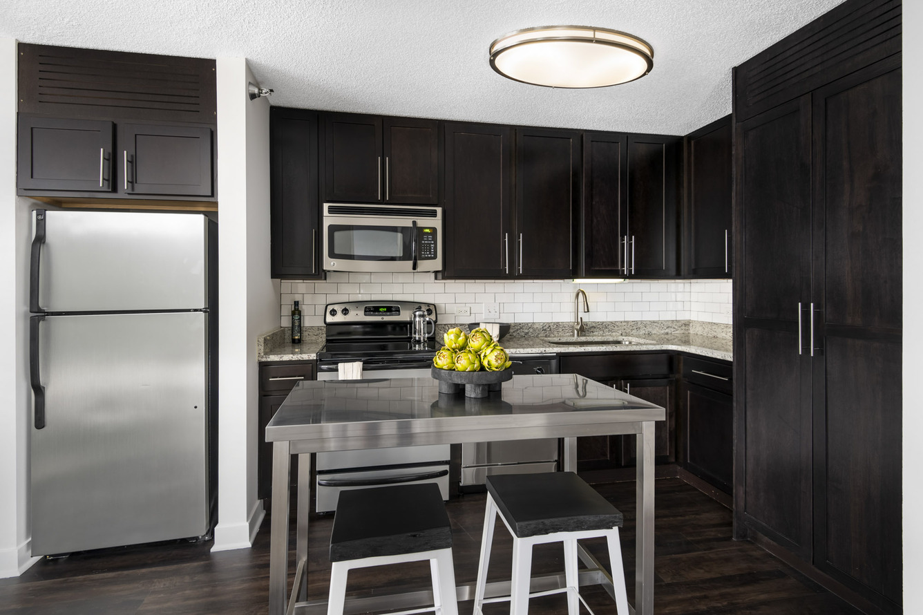 Streeterville Studio Apartments For Rent Layouts Floor Plans